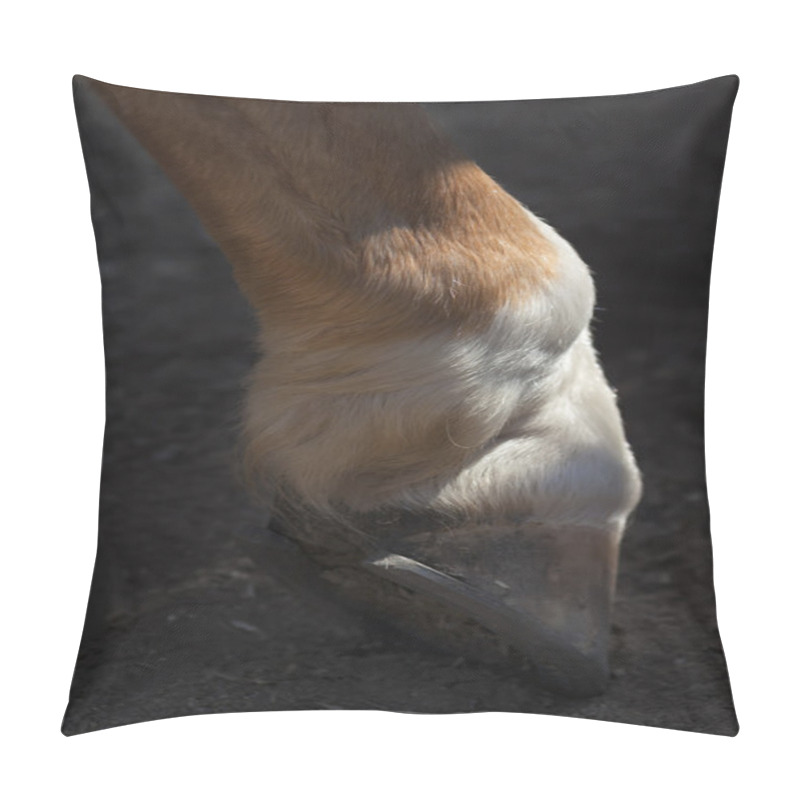 Personality  Сlose Up Shot Of A Sunlit Horse Front Hoof With Iron Horseshoe. Pillow Covers