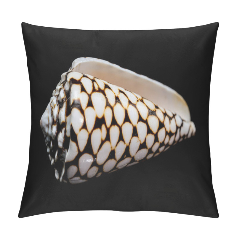 Personality  A Striking Close-up Of The Conus Marmoreus Shell, Showcasing Its Intricate Black-and-white Marbled Pattern On A Smooth Surface, Isolated Against A Sleek Black Background Pillow Covers