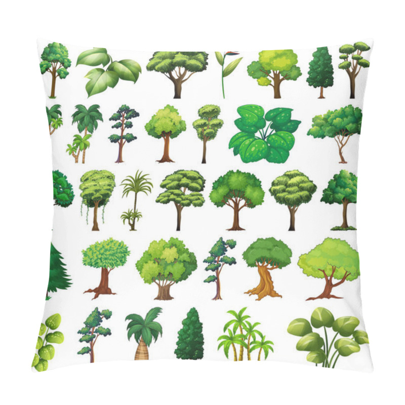 Personality  Set Of Variety Plants And Trees Illustration Pillow Covers