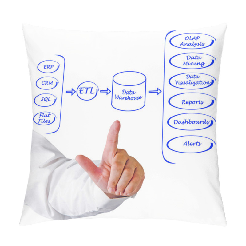 Personality  A Diagram Of Data Processing System Pillow Covers