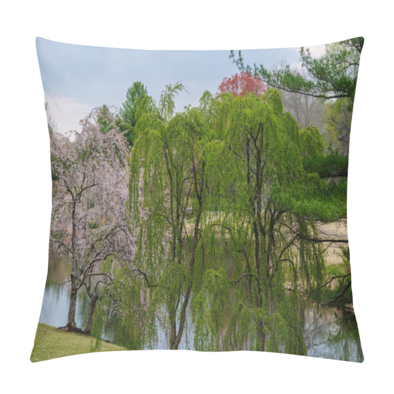 Personality  Photo Of Japanese Cherry Blossom And Weeping Willow Trees Side By Side In Meadowlark Botanical Gardens. Pillow Covers