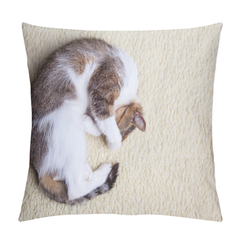 Personality  Relaxing Cat Pillow Covers