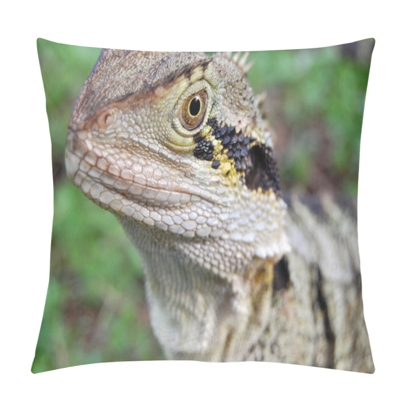 Personality  Lizard Pillow Covers