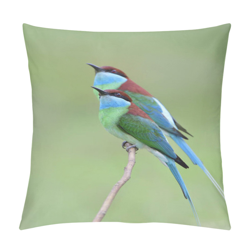 Personality  Bee Catcher, Blue-throated Bee-eater, The Most Beautiful And Fine Bird Gethering On Thin Stick While Catching For Flying Insect Pillow Covers