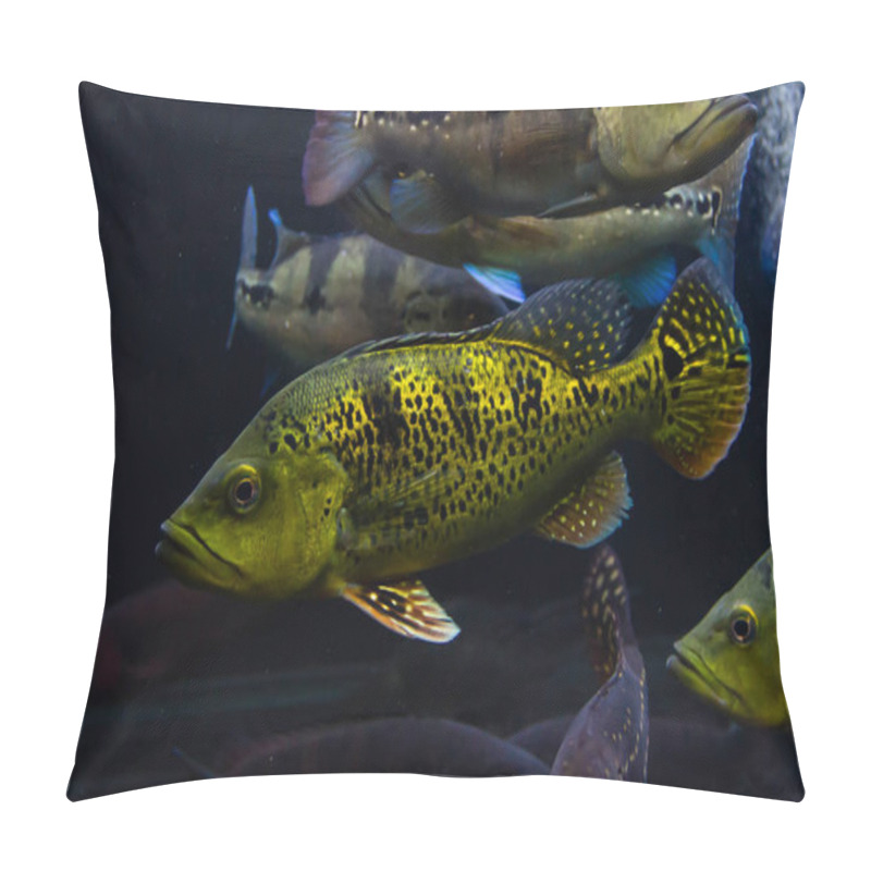 Personality  Yellow Peacock Bass(Cichla Kelberi) Pillow Covers