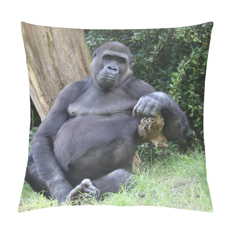 Personality  Young Male Western Lowland Gorilla In Green Forest. Pillow Covers