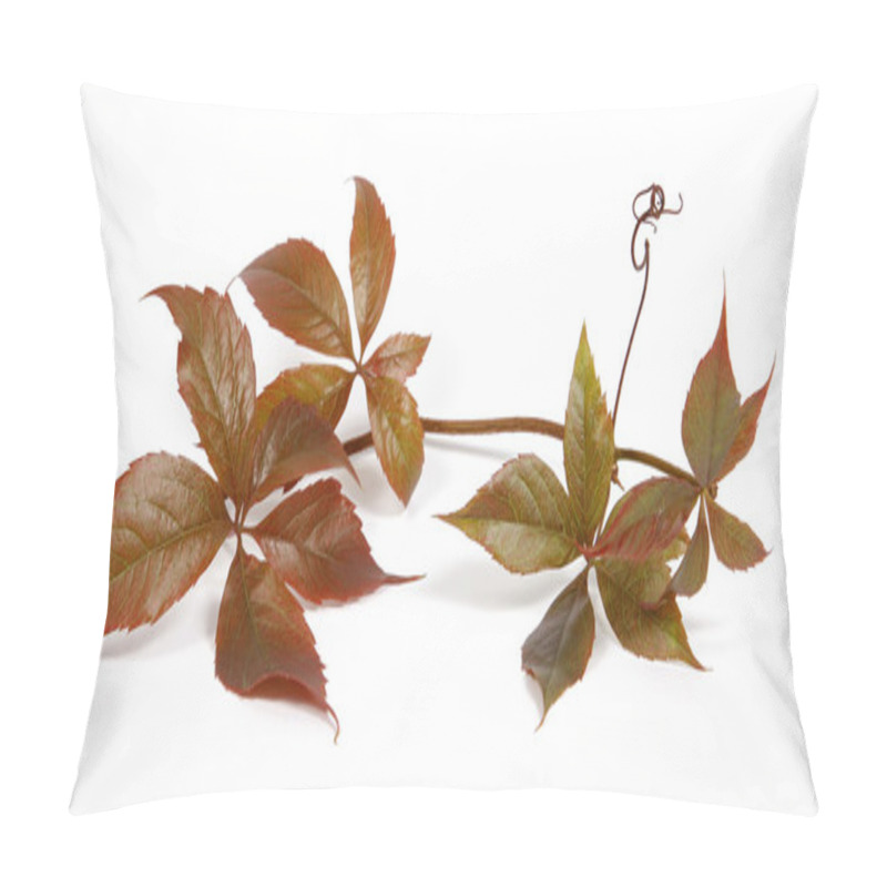 Personality  Bindweed Pillow Covers