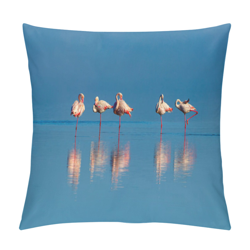 Personality  Wild African Birds. Group Birds Of Pink African Flamingos  Walking Around The Blue Lagoon Pillow Covers