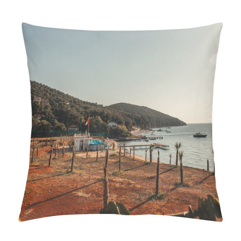 Personality  Plantation Of Young Palm Trees On Sea Coast Pillow Covers