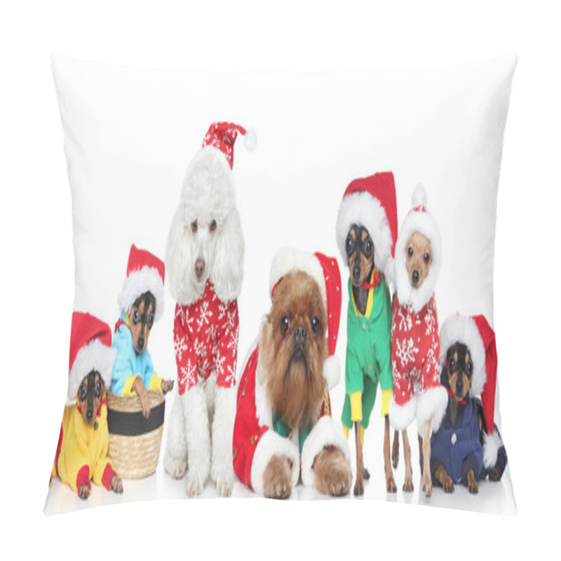 Personality  Group Of Purebred Dogs In Christmas Hats Pillow Covers