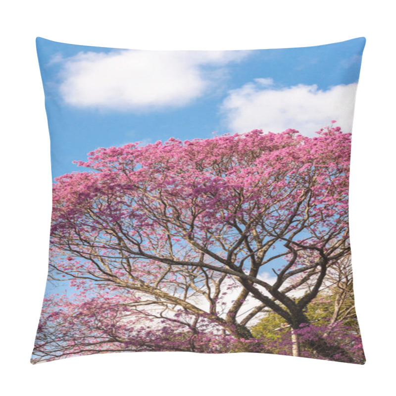 Personality  Ipe Tree Full Of Pink Flowers On A Sunny Day Pillow Covers