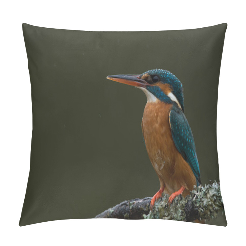 Personality  Kingfisher (Alcedo Atthis) Pillow Covers