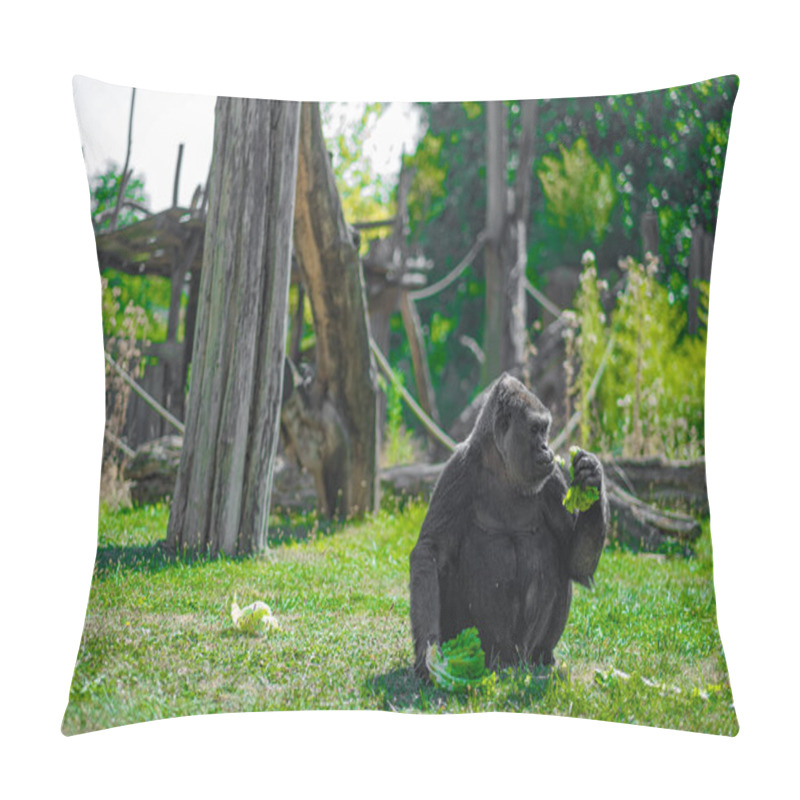 Personality  Gorilla Peacefully Seated On A Grassy Area While Eating Fresh Leafy Vegetables In An Outdoor Zoo Habitat Surrounded By Nature And Wooden Structures. Pillow Covers