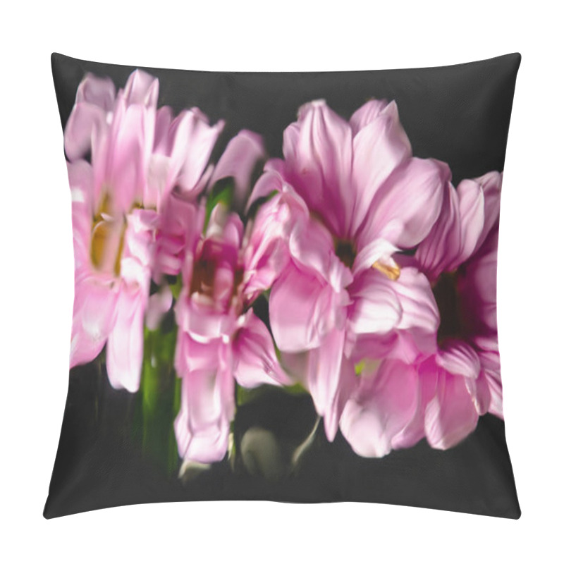 Personality  Close-up View Of Beautiful Pink Chrysanthemums Isolated On Black   Pillow Covers