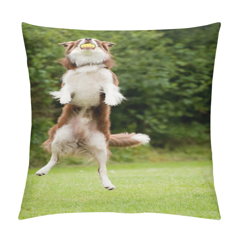 Personality  Catch Pillow Covers