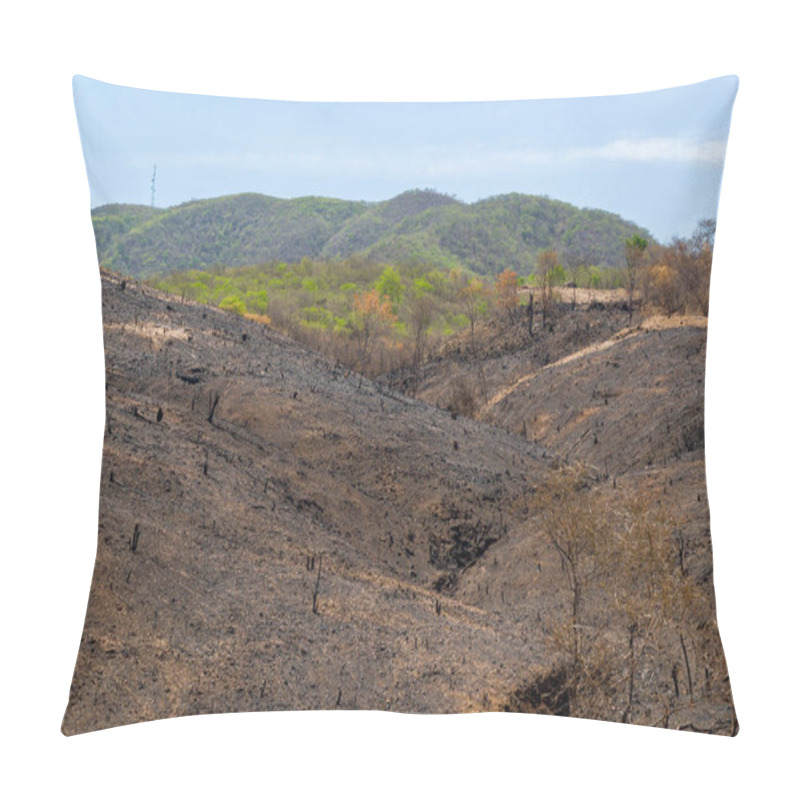 Personality  Burning Deforestation Of The Brazilian Caatinga Biome In Barro, Ceara, Brazil On December 21, 2020. Pillow Covers