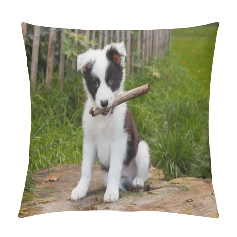 Personality  Border Collie Puppy On Grass Pillow Covers