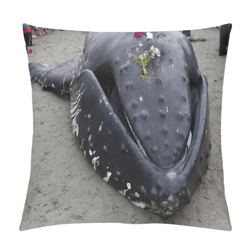 Personality  Juvenile Humpback Whale Washes Ashore And Died Pillow Covers