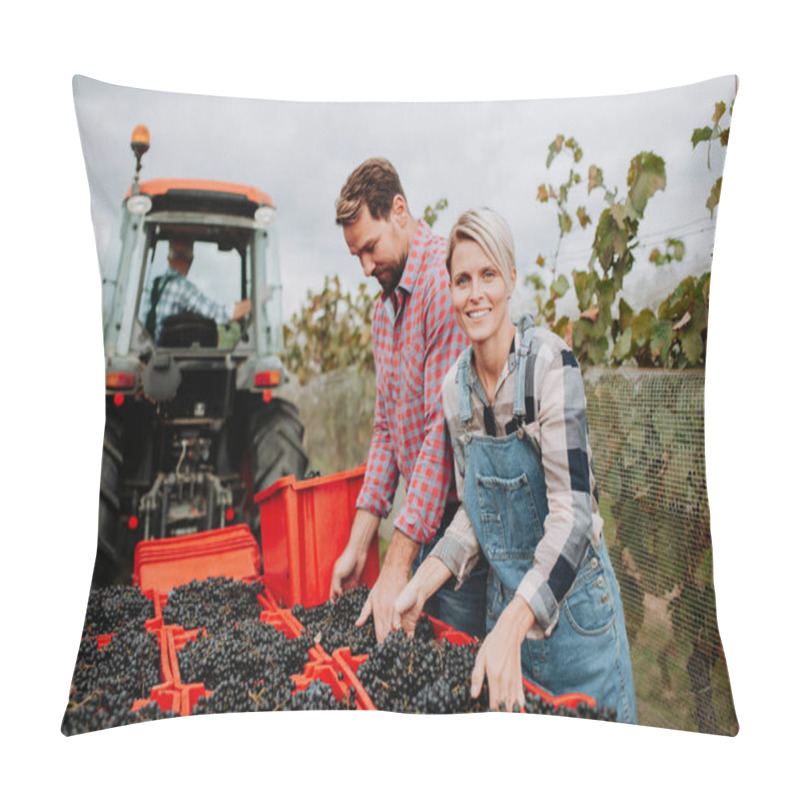 Personality  Vineyard Workers With Harvest Bins Full Of Grapes. Manual Grape Harvesting In Family-run Vineyard Pillow Covers