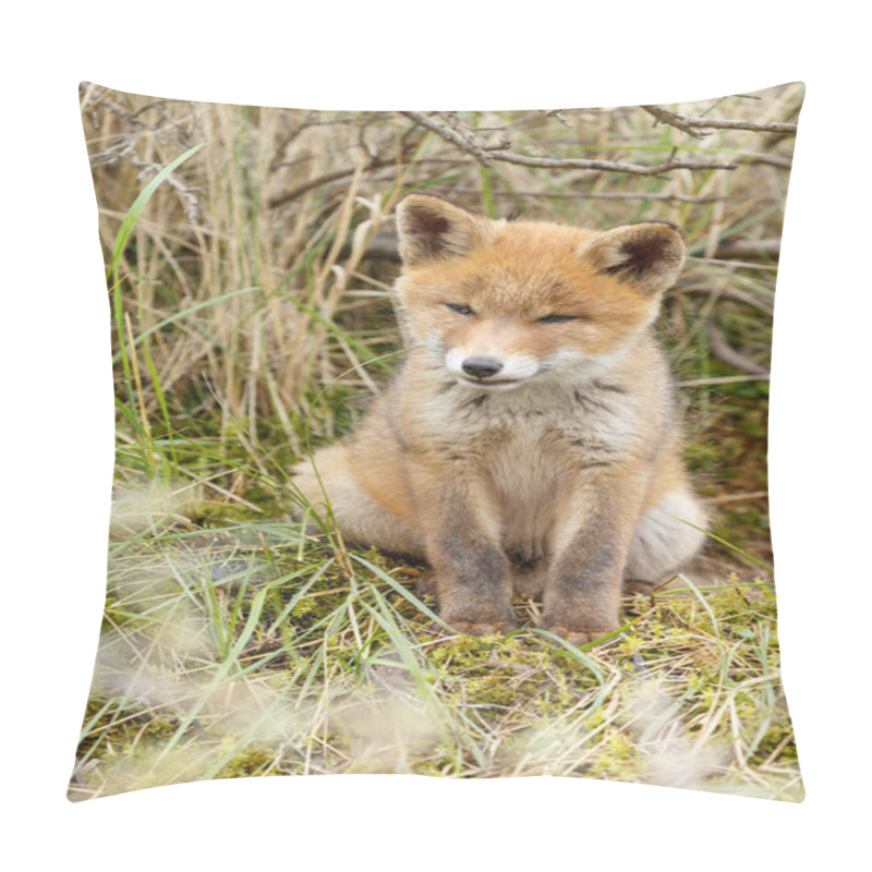 Personality  Little Cute Red Fox Cub Pillow Covers