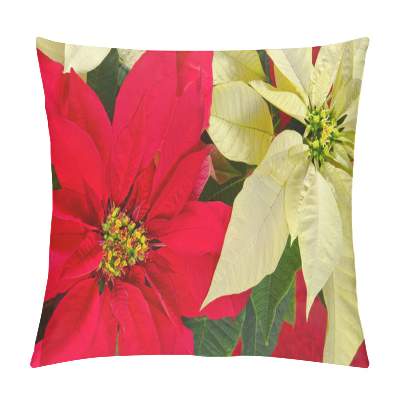 Personality  Poinsettia Flowers Pillow Covers