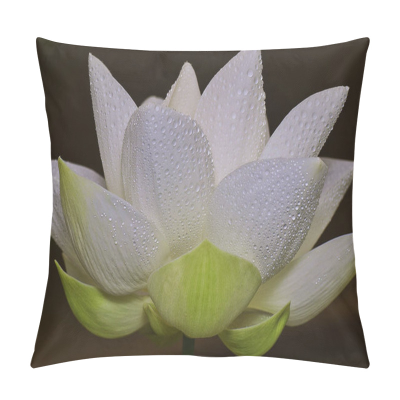 Personality  White Petal Lotus Flower Pillow Covers