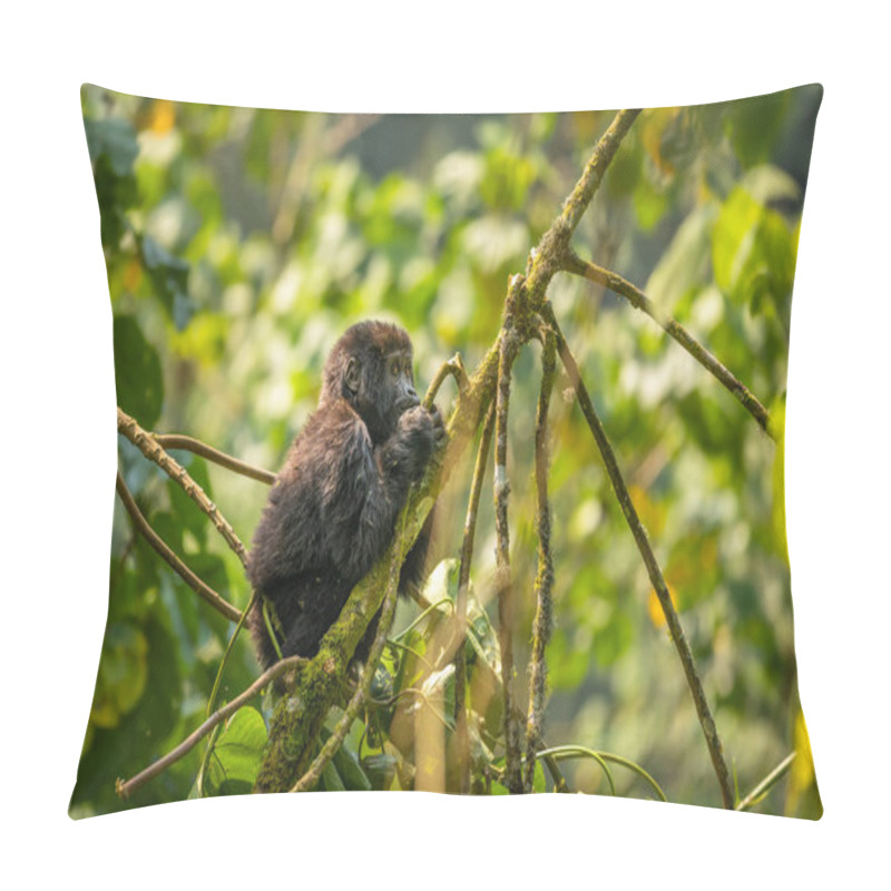 Personality  Portrait Of A Baby Mountain Gorilla (Gorilla Beringei Beringei), Bwindi Impenetrable Forest National Park, Uganda. Pillow Covers