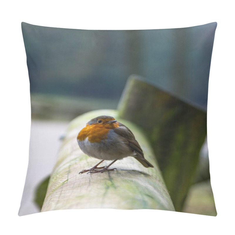 Personality  A Robin Perched On A Post. He Looks Out Across The Softly Focused Green Background. Erithacus Rubecula. Copy Space Editorial Picture. Pillow Covers