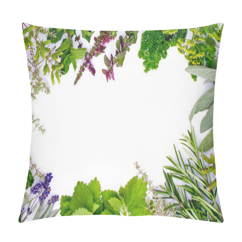 Personality  Herbs Frame Over White Background Pillow Covers