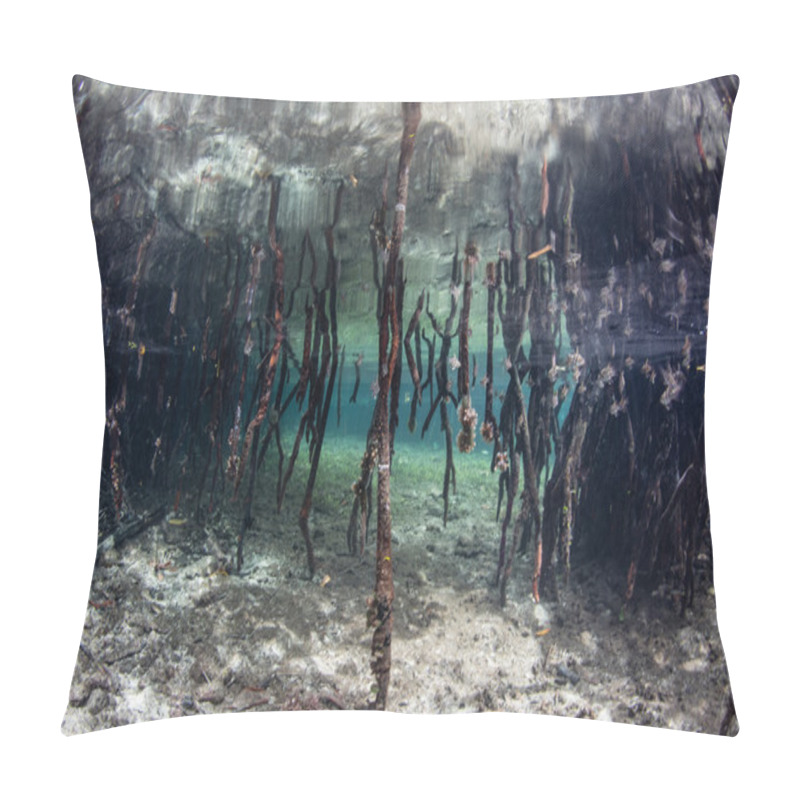 Personality  Mangrove Prop Roots Pillow Covers