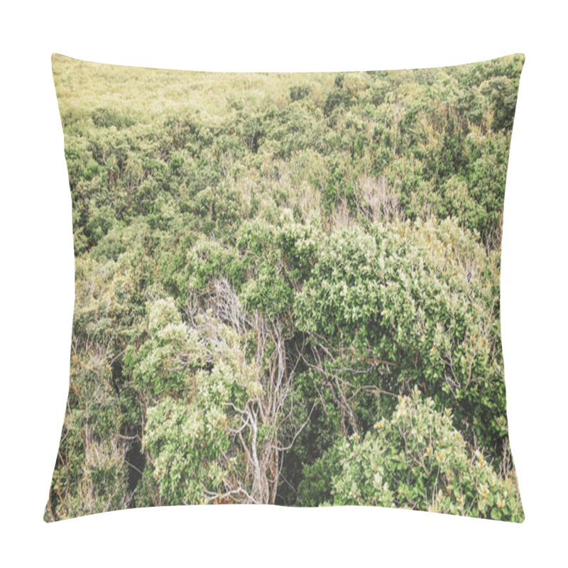 Personality  Green Tropical Jungle And Nature Palm Trees Palms Of Tulum Quintana Roo Mexico. Pillow Covers