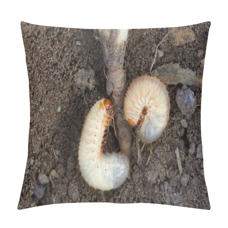 Personality  Pests Control, Insect, Agriculture. Larva Of Chafer Eats Plant Root. Pillow Covers