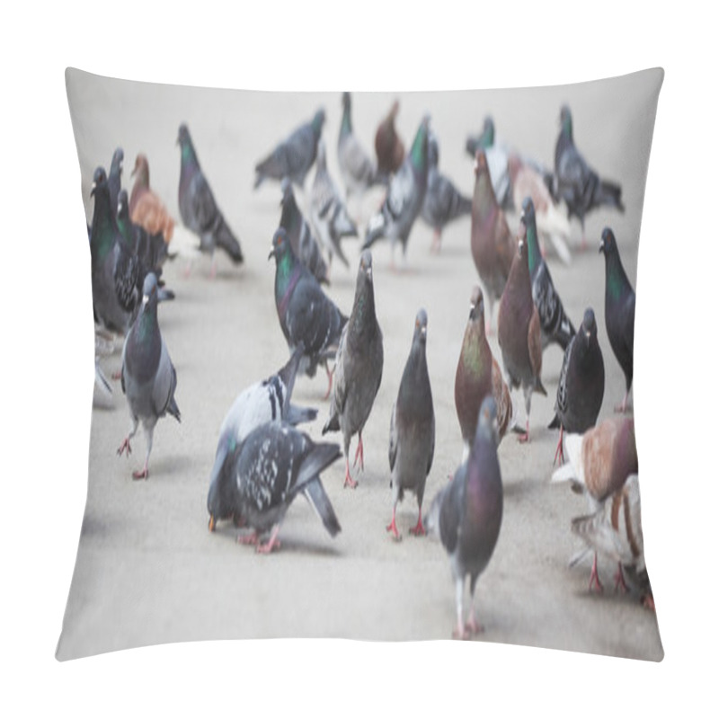 Personality  Pigeons Pillow Covers