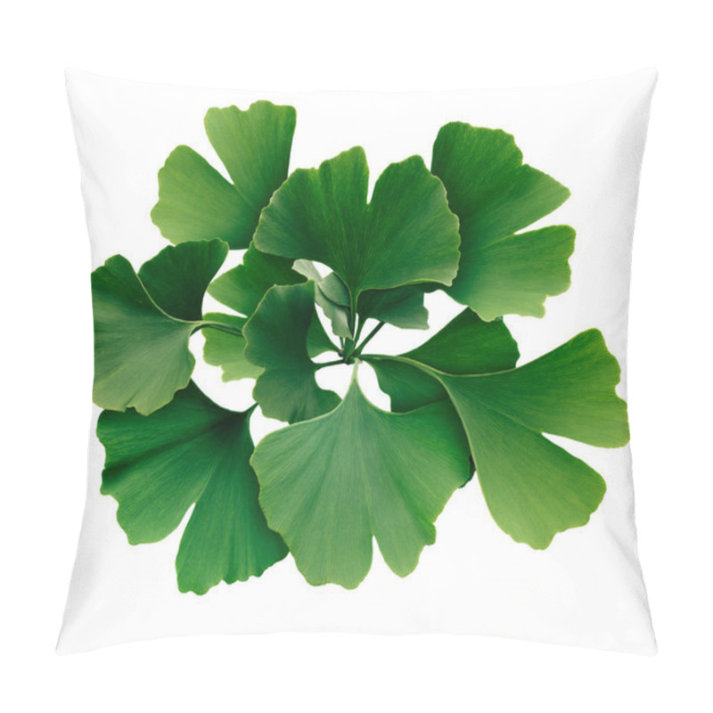 Personality  Ginkgo Biloba Isolated Pillow Covers