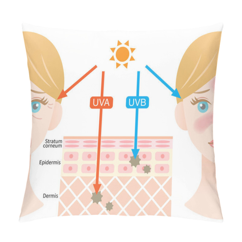 Personality  Infographic Illustration Of Difference Between UVA And UVB Rays.  UV Penetration Into Human Skin And White Woman Face. Skin Care And Beauty Concept Pillow Covers