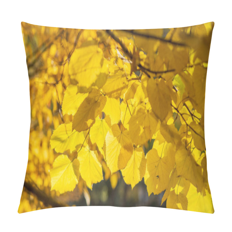 Personality  Sunlit, Vibrant Yellow Leaves Of A Deciduous Tree Create A Luminous Canopy, Capturing The Radiant Glow Of Autumn In A Peaceful Forest Setting. Pillow Covers