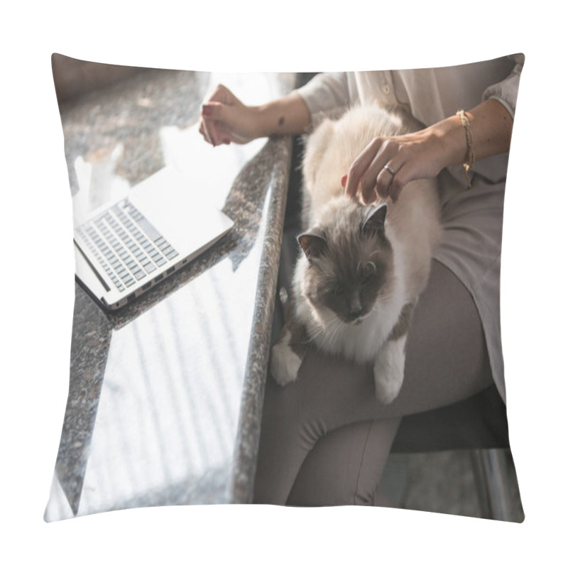 Personality  Large Cat Relaxing On Its Owners Lap Pillow Covers