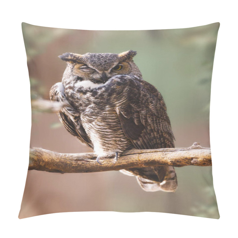 Personality  Great Horned Owl With One Eye Open, Perched On A Branch With Blurred Nature Background Pillow Covers