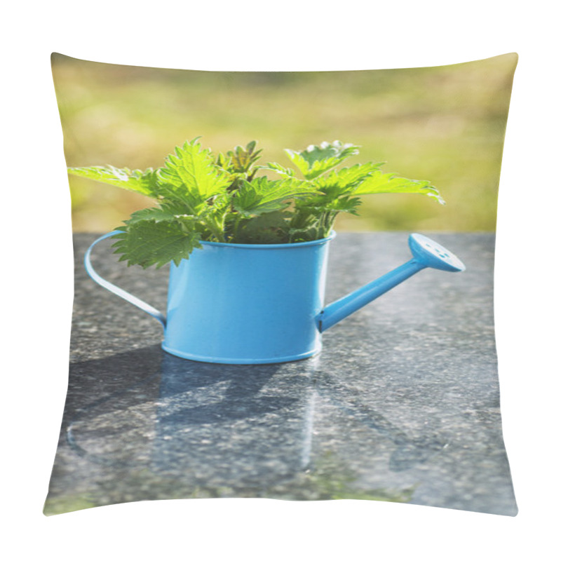 Personality  Nettles In A Blue Watering Can On The Table Pillow Covers