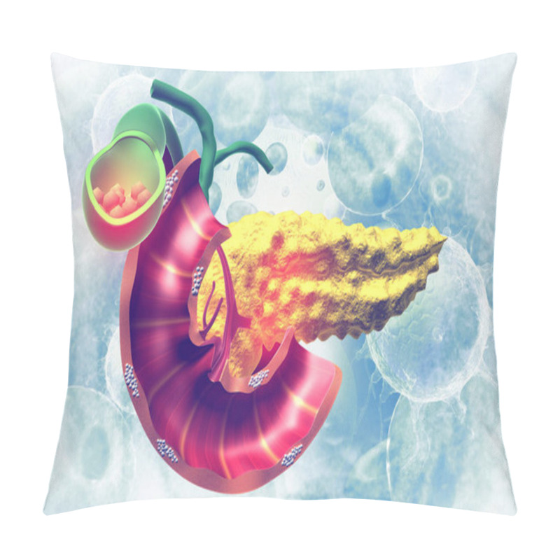 Personality  Human Pancreas. 3d Illustration  Pillow Covers