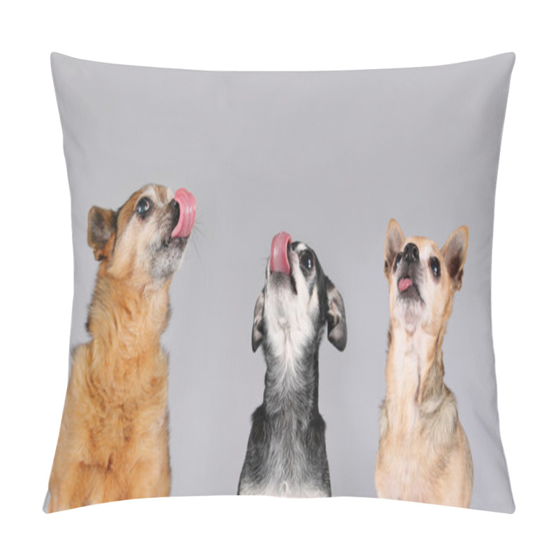 Personality  Dogs Looking Up With Tongues Out Pillow Covers