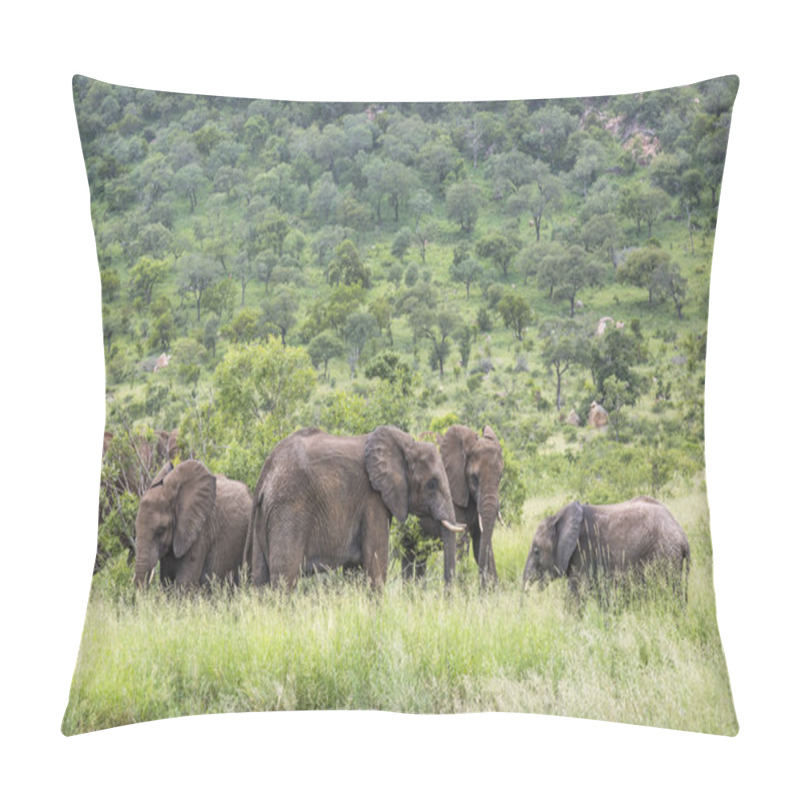 Personality  African Bush Elephant In Kruger National Park, South Africa Pillow Covers