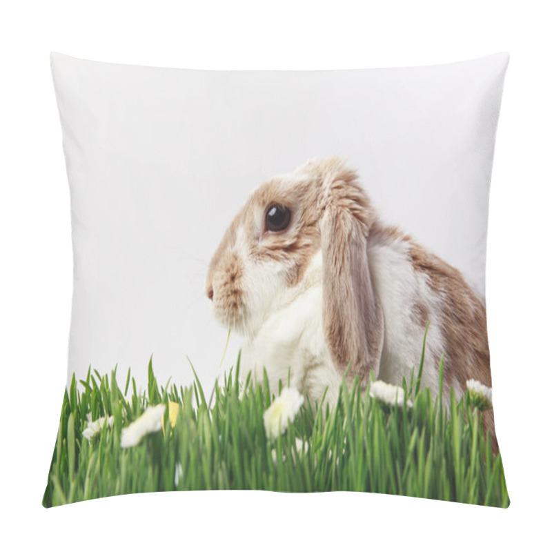 Personality  Side View Of Rabbit With Grass Stems And Camomiles, Easter Concept Pillow Covers