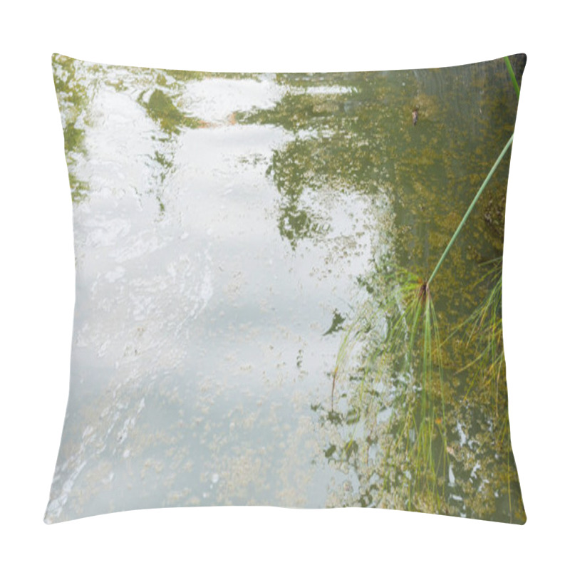 Personality  Image Of Wastewater Pond With Scum On Top Of Water From Eutrophication. Pillow Covers