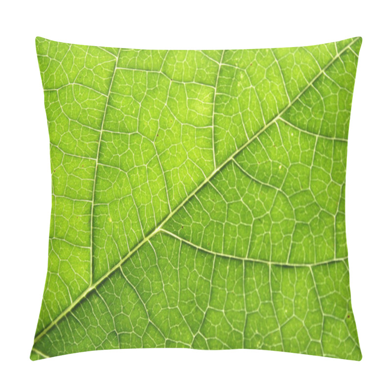 Personality  Leaf Texture Pillow Covers