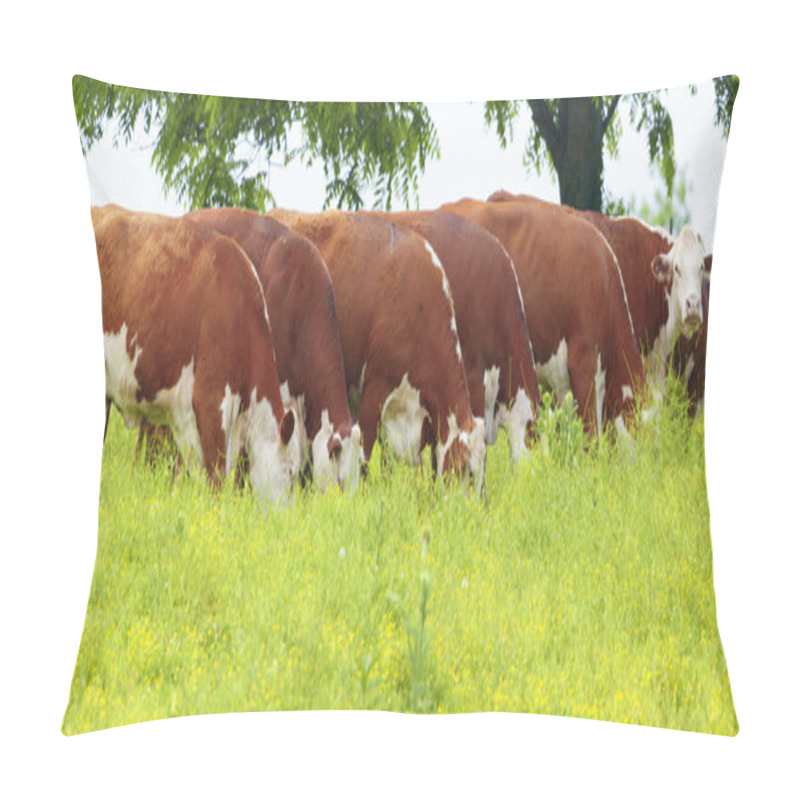 Personality  Cattle Pillow Covers