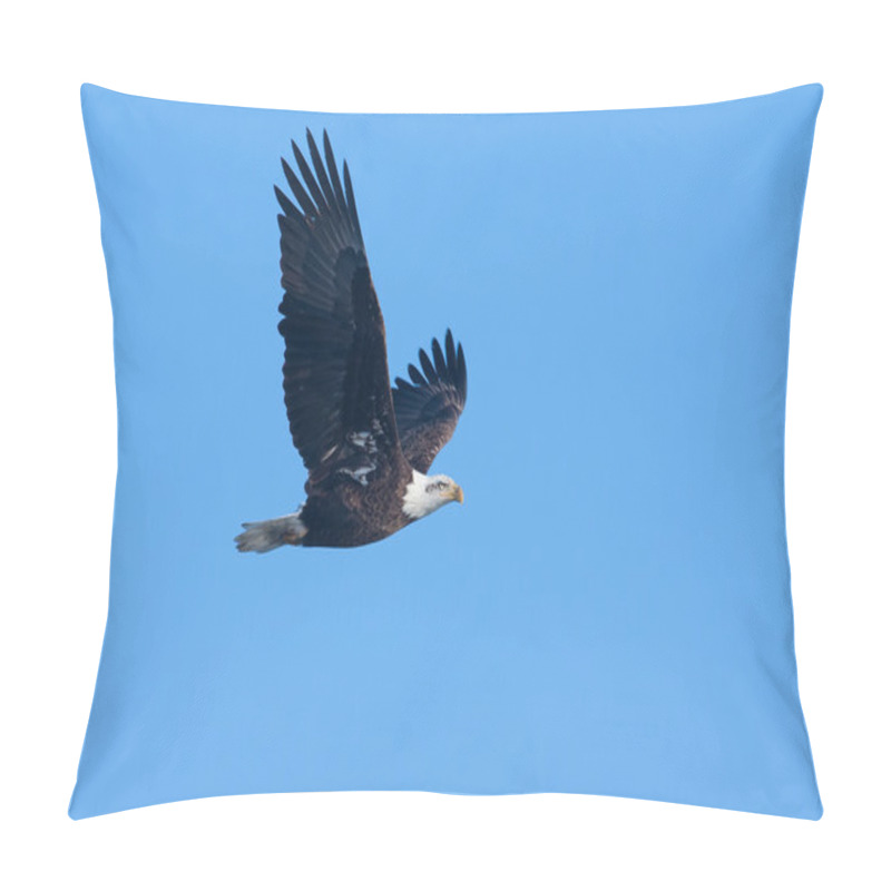 Personality  American Bald Eagle In Flight Pillow Covers