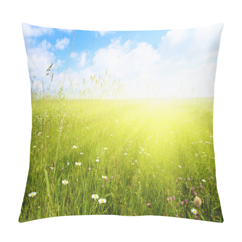 Personality  Field Of Summer Flowers And Blue Sky Pillow Covers