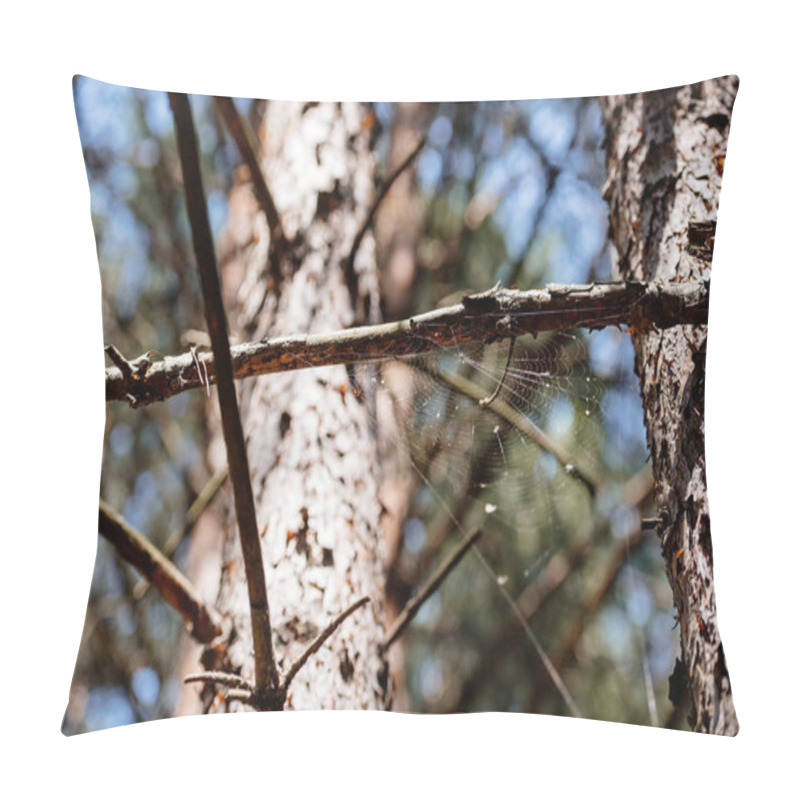 Personality  Low Angle View Of Pine Tree With Spiderweb In Forest Pillow Covers