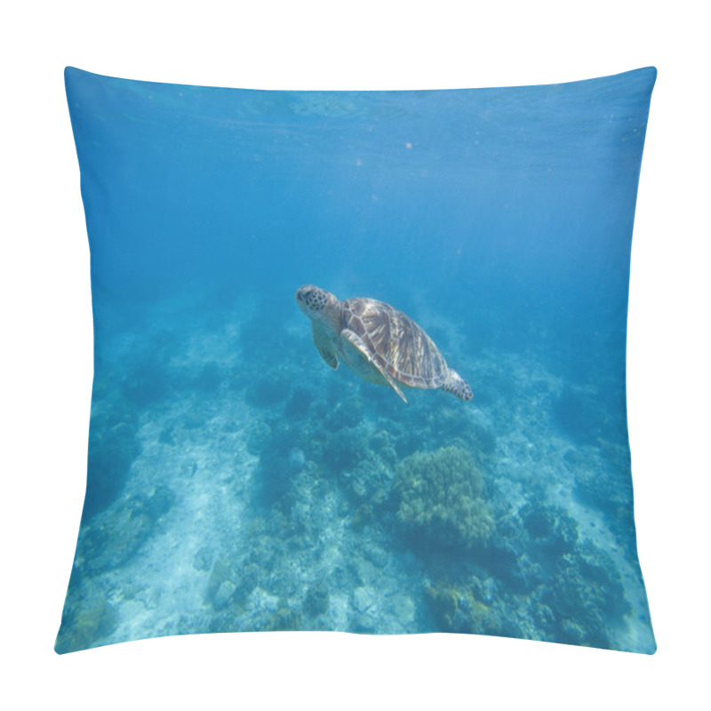 Personality  Sea Turtle Diving In Deep Blue Water. Green Turtle In Sea Water Pillow Covers